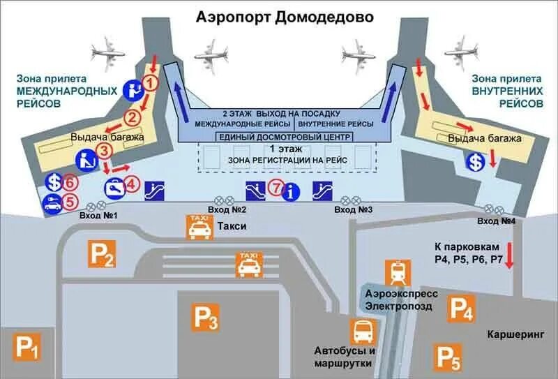 Сколько самолетов в домодедово