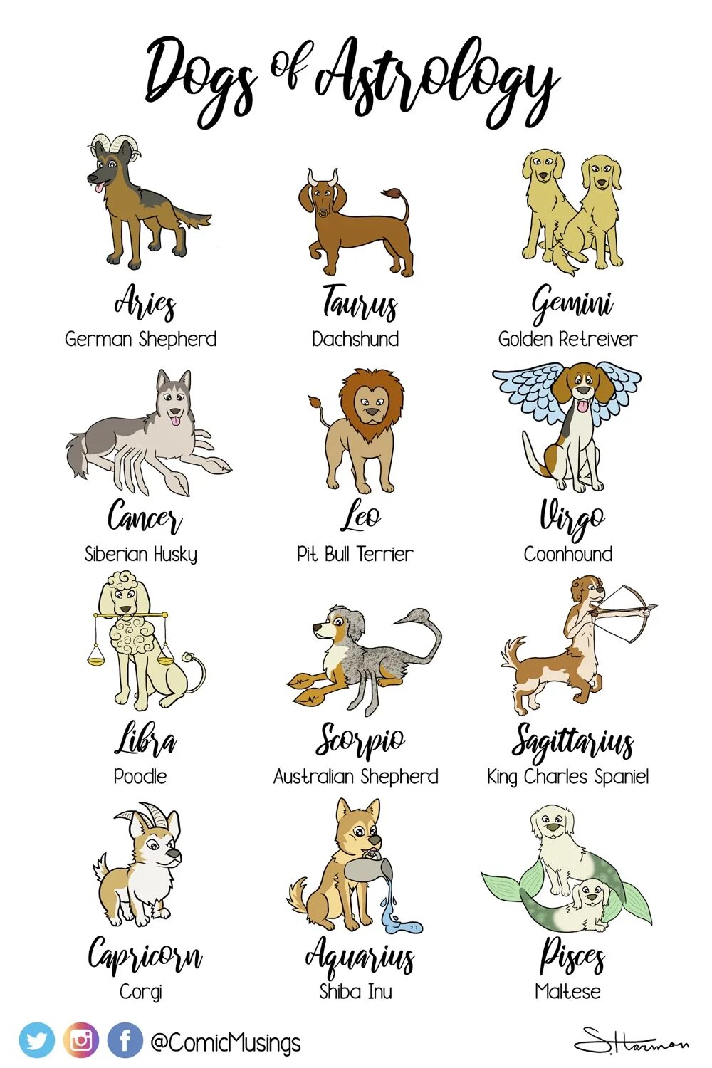 Собаки по знаку зодиака. Собака гороскоп. Собаки для знаков зодиака. Собачий гороскоп по зодиакам.
