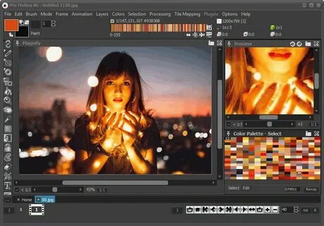 Motion pro