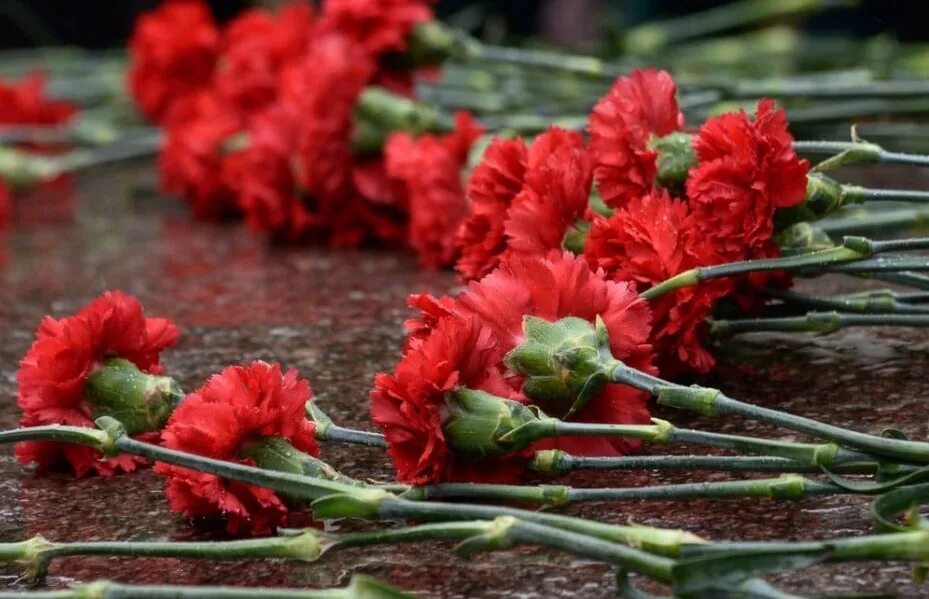 Мероприятие цветы памяти