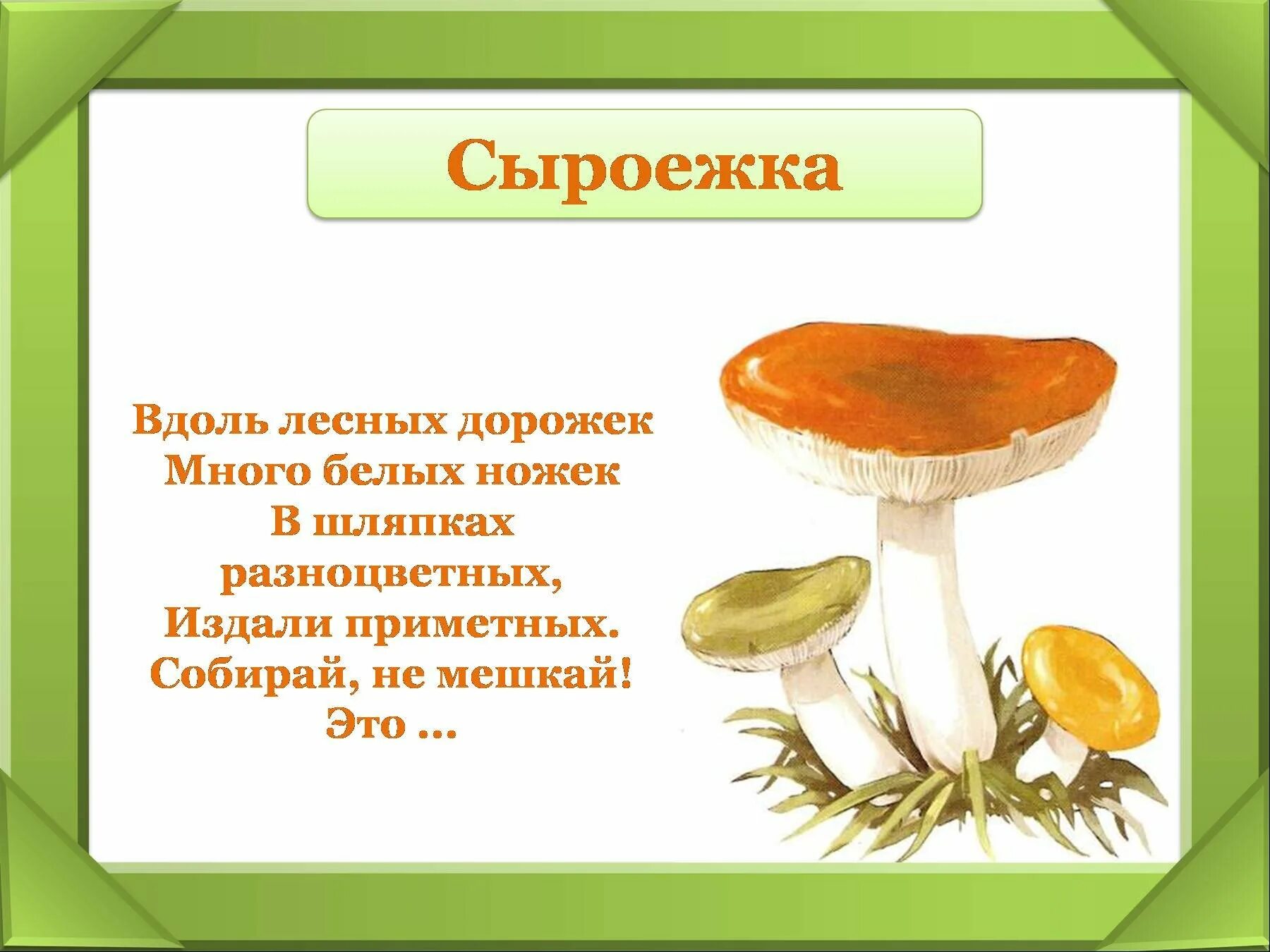 Сыроежка лексическое значение. Загадка про гриб сыроежка. загадка про сыроежку гриб для детей. загадка про сыроежку. загадка про сыроежку для детей.