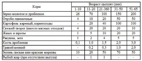 Можно давать цыплятам гречку