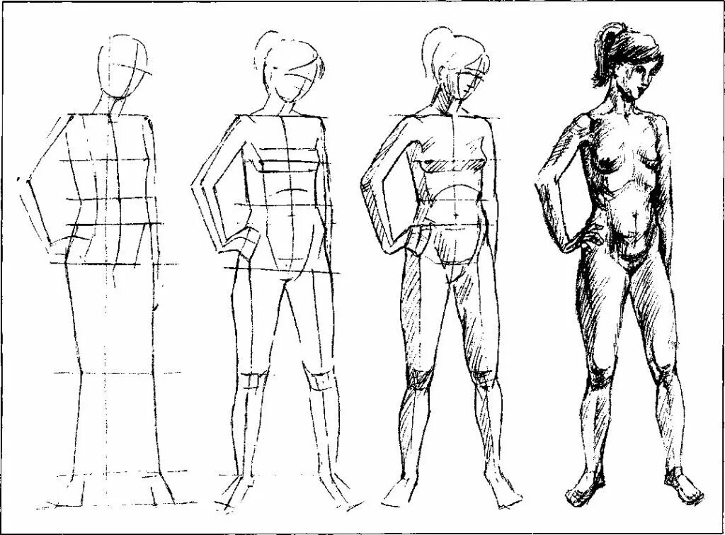Фигура человека название. Пропорции фигуры человека Баммес. Наброски фигуры человека. Фигура человека рисунок. Фигура человека для рисования.