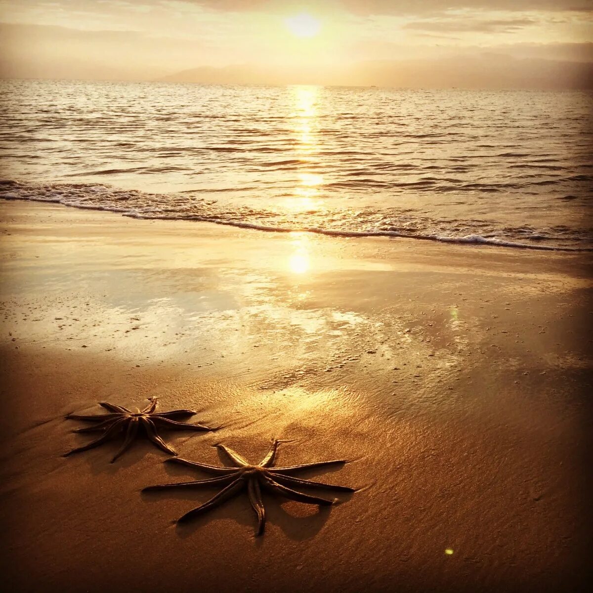 Море пляж песок песня. Море пляж песок песня. Море пляж песок песня. Море пляж песок песня. Summer mood фактура.