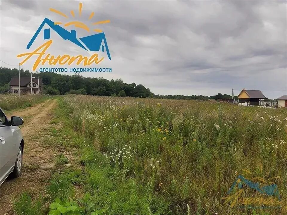 Деревня грачевка калужская область. Деревне грачевка калужской. Деревне грачевка калужской. Деревня грачевка калужская область жуковский. Деревне грачевка калужской.
