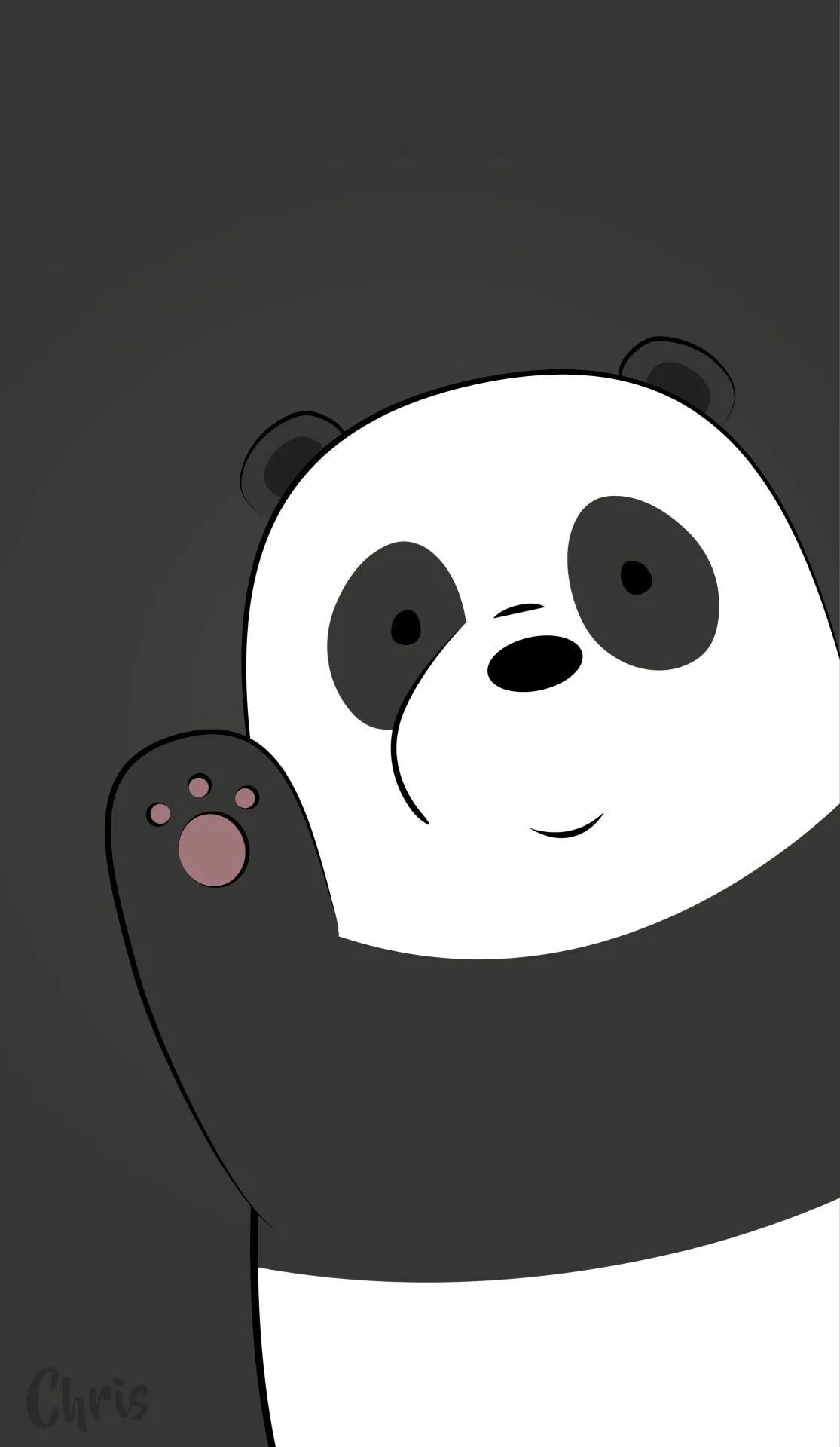Прикольный телефон 2023. Заставка на телефон Панда. Панда на экран блокировки. Панда на айфон. Классные обои с пандами.
