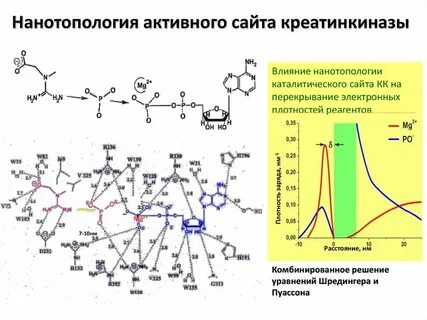Плотность реагентов