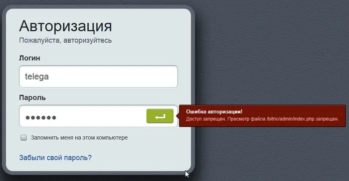 Авторизация логин пароль. Логин авторизация. Неверный логин или пароль. Форма авторизации.