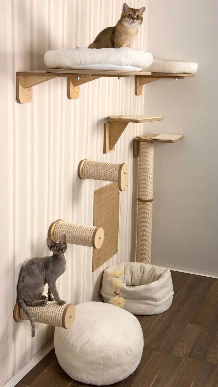 Развлечения для котов. Домик для кота. Интересные домики для кошек. Настенный дом для кошки. Дизайнерские домики для кошек.