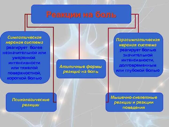 Реакция организма на боль. Боль защитная реакция организма. Общие реакции организма на боль. Типы реакций на боль. Возможная реакция на боль.