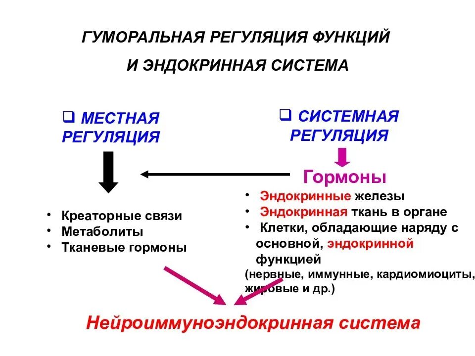 Почему нельзя разделить нервную и гуморальную регуляцию