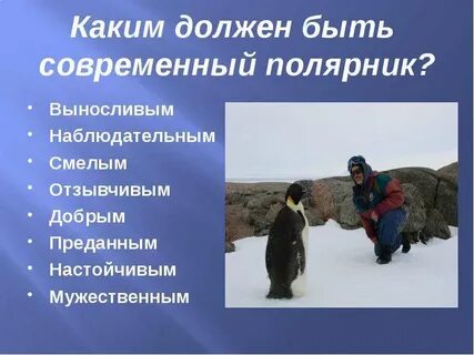Рассказ какие они полярники