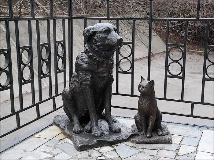 Памятник бездомным животным. Памятник бездомным котам в брауншвейге. памятник петербургские дворняжки. памятники собакам дворняжкам. памятник дворняге.