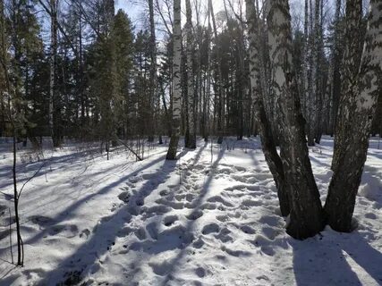 Апрель красноярск