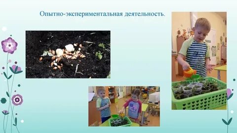Из опыта экспериментальной работы