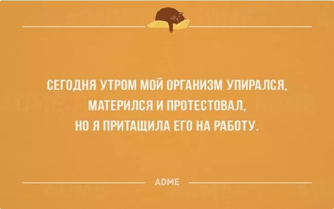 Потерпи до лета. Утром на работу юмор. Утром на работу приколы. Приколы про утро и работу. Утренний интеллектуальный юмор.