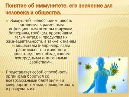 Роль иммунитета в организме
