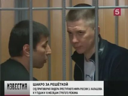 Подельник века