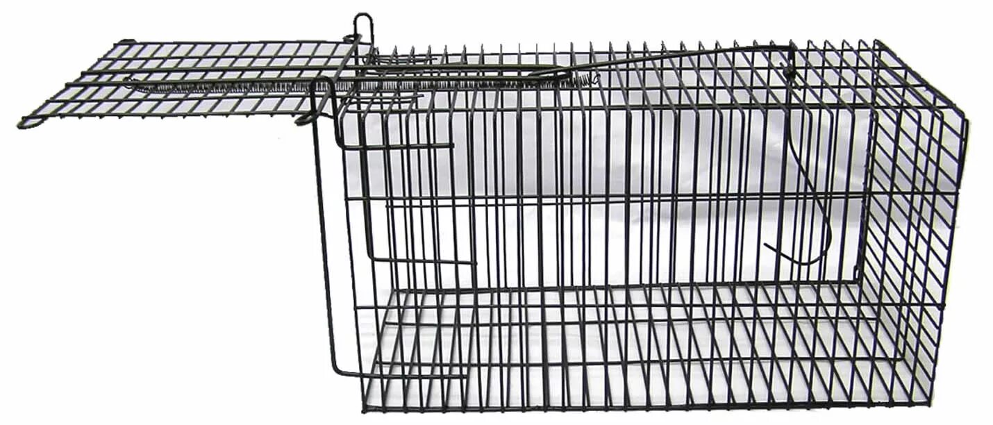 Чертежи ловушки фазана. Крысоловка клетка ЛОВУШКА для крыс. ЛОВУШКА клетка на фазана. ЛОВУШКА клетка на фазана чертежи. ЛОВУШКА Живоловка чертежи