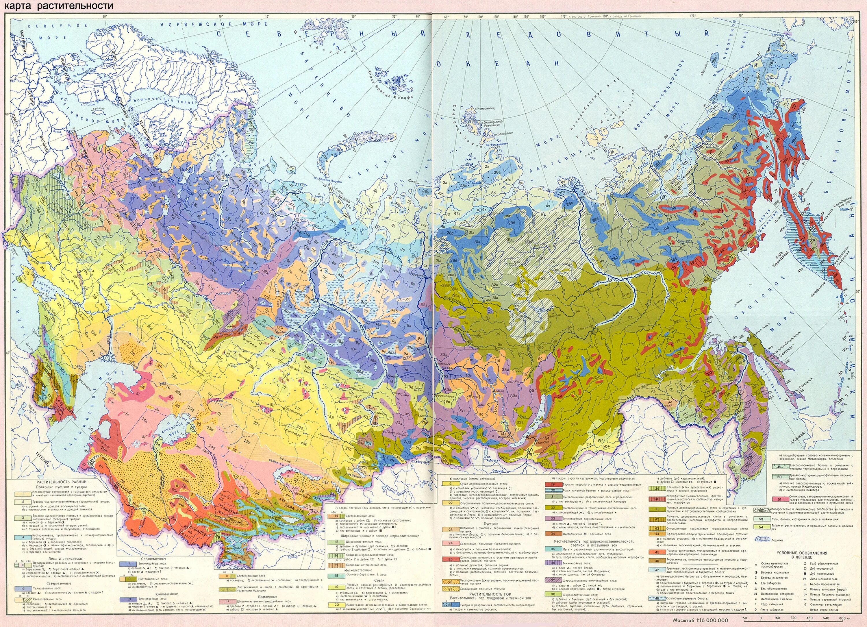 Растительная карта россии. Карта растительности России атлас. Атлас СССР растительность. Карта растительности СССР. Карта растительности атлас СССР.