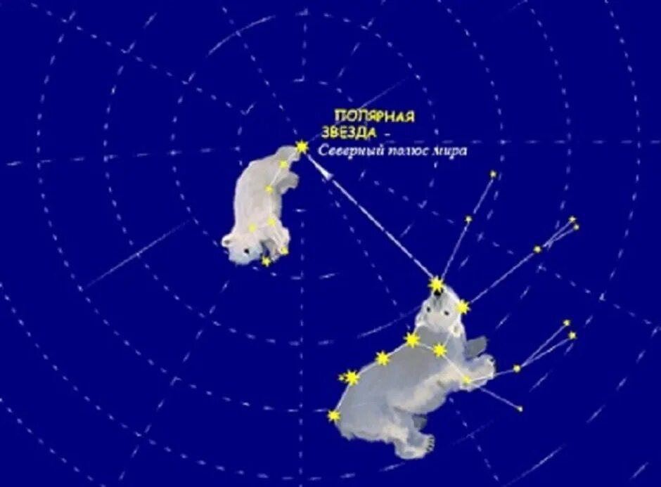 Знаки большой медведицы. Малая Медведица и Полярная звезда. Малая Медведица и Полярная звезда рисунок. Полярная звезда в малой Медведице. Созвездие большой и малой медведицы.