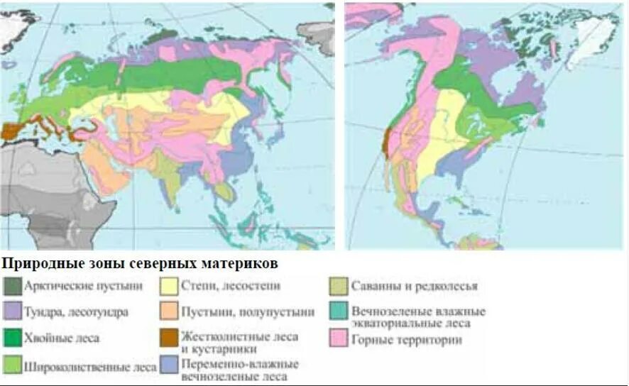 Северные материки 7 класс природные зоны. Карта природных зон Евразии. Природные зоны Северной Евразии. Карта природных зон Северной Америки. Карта Евразия природные зоны материка.