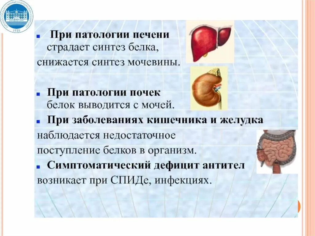 Обмен белка в печени. Синтез в печени. Нарушение белкового обмена при патологии печени. В печени синтезируются белки.