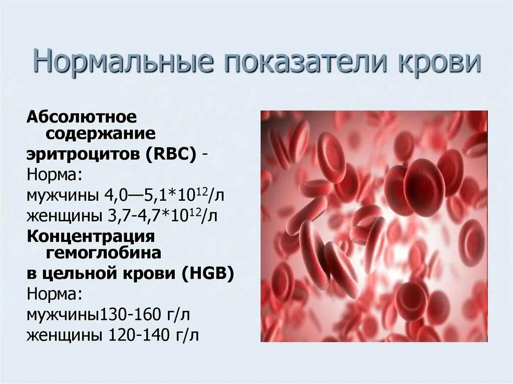 Тромбоциты 50 у мужчины лет. Крови эритроциты RBC 4.00-5.70. Общий анализ крови рисунок. Нормальные показатели эритроцитов. Процент гемоглобина в крови.