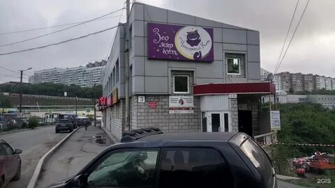 Владивосток жигура