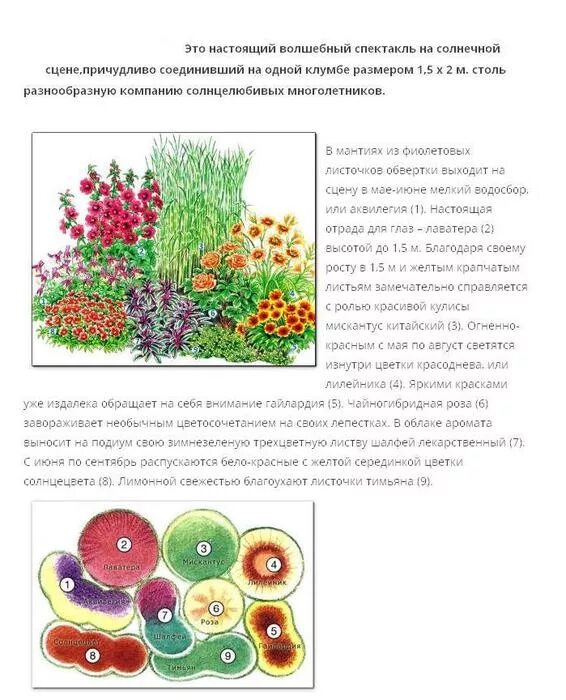 Клумбы непрерывного цветения схемы. Миксбордер схема с названиями растений. цветник непрерывного цветения из многолетников схема. клумба из многолетников непрерывного цветения схема. схема миксбордера из многолетников непрерывного цветения.