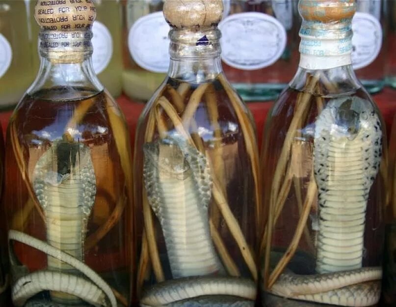 Кобра в бутылке Вьетнам.
