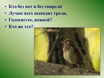 И кто без него