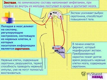 Напомнить состоять