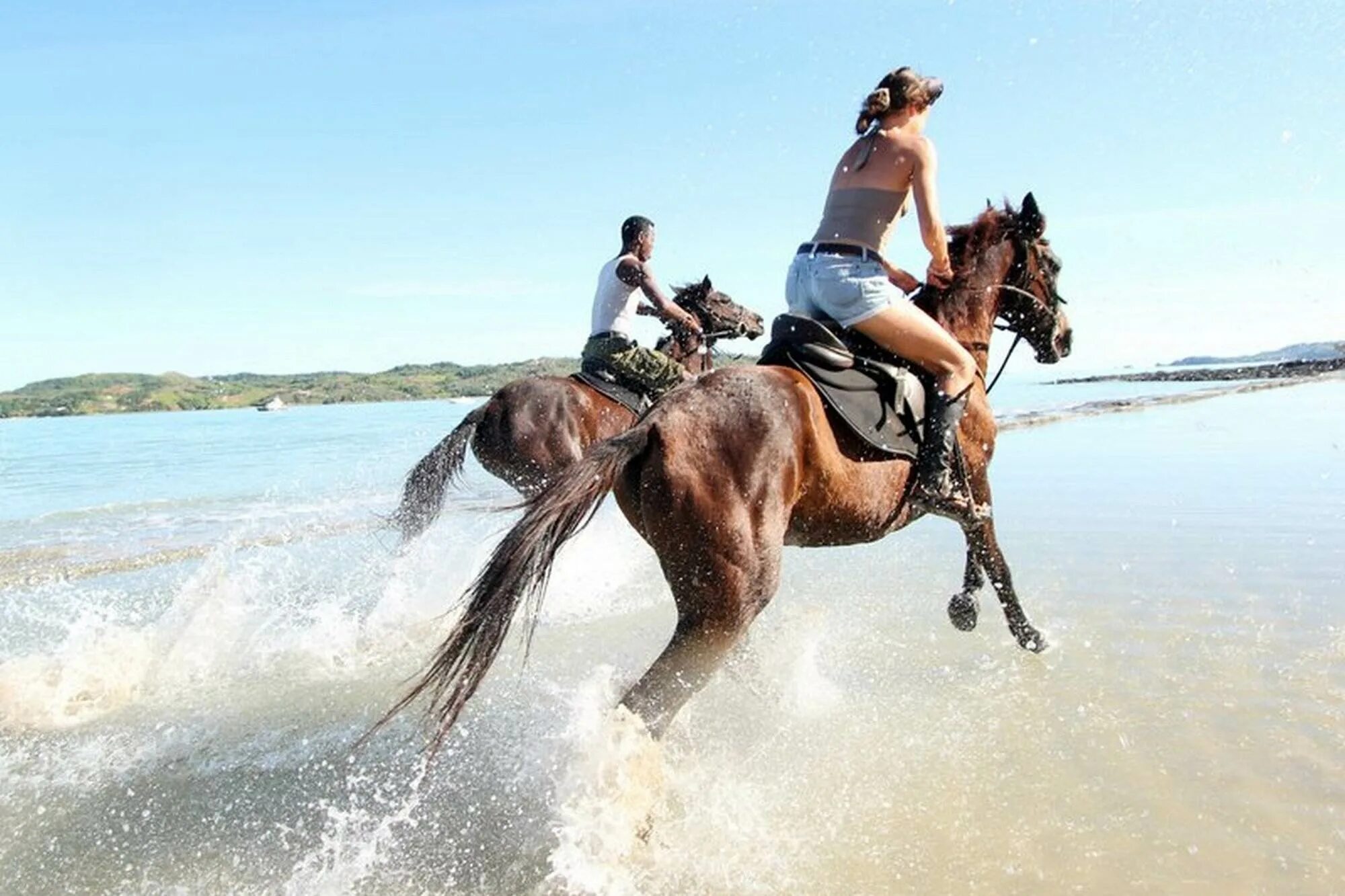 Horse riding вертикальная. Ранчо Анталия дети. Ride a Horse. Horse Rider. Ride the chariot