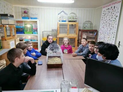 Центр экологии и краеведения минск