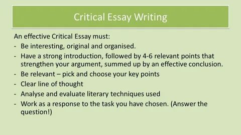 Essay dillan find you