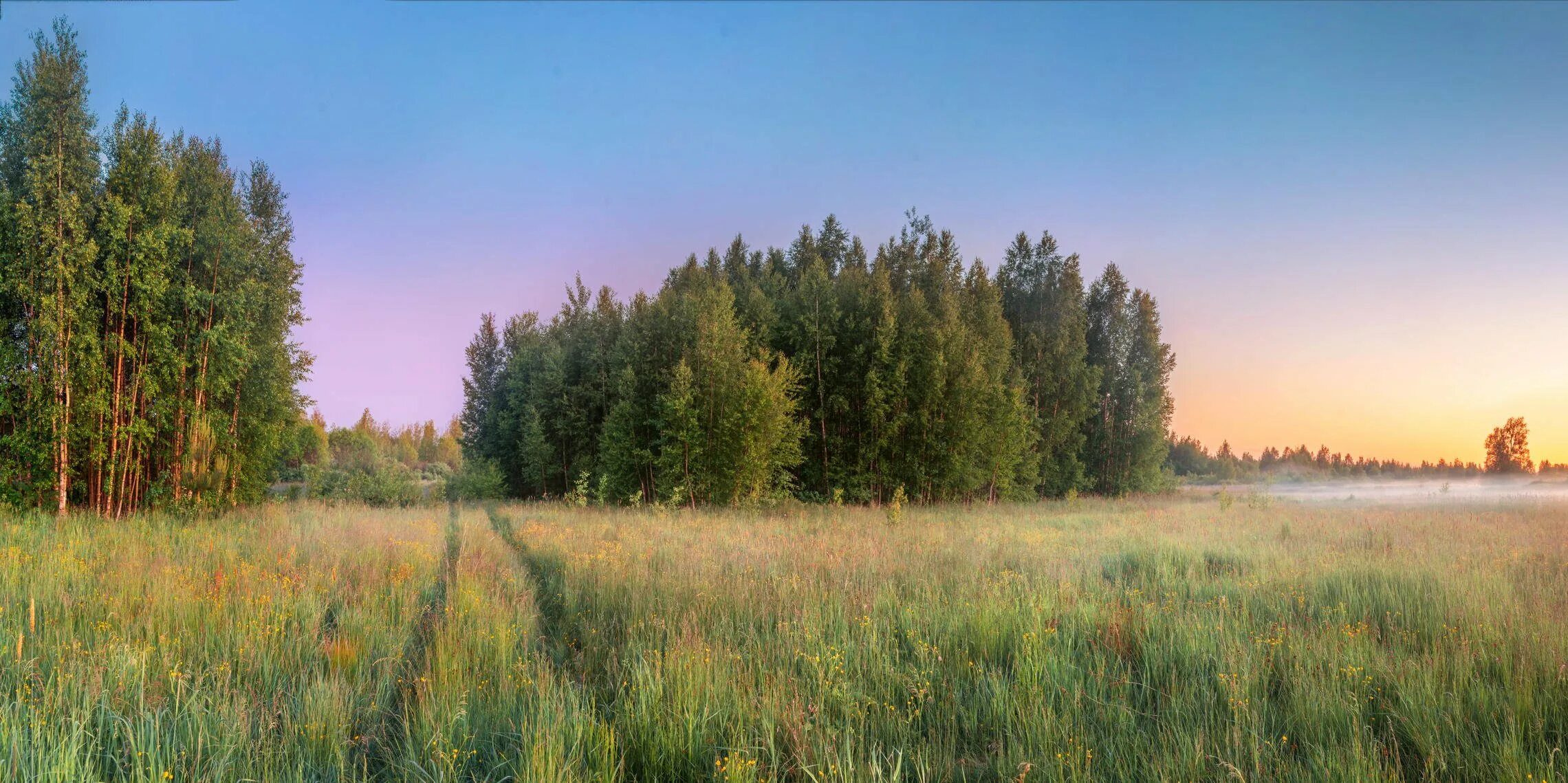 Леса средней полосы России. Пейзажи средней полосы России. Красивые пейзажи средней полосы. Летние пейзажи средней полосы.