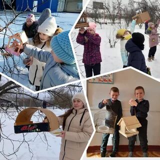 Акция покормите птиц зимой 2024