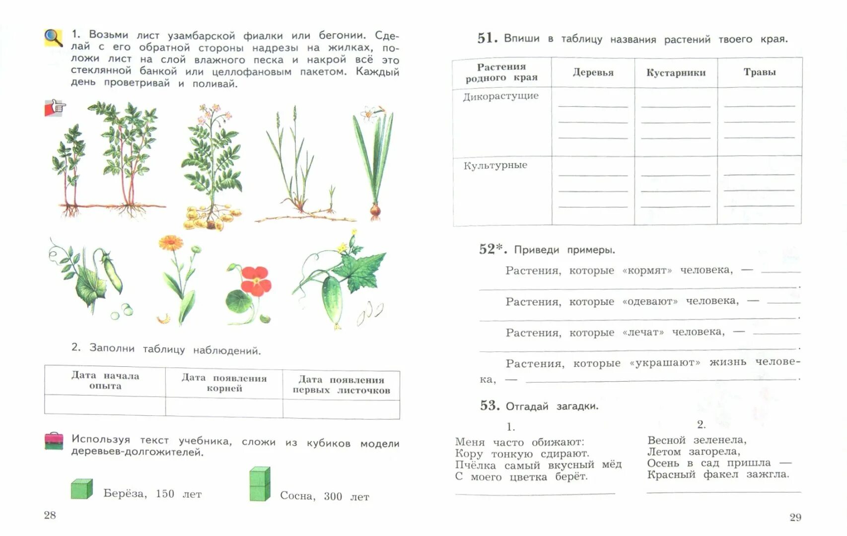 Задания растения 1 класс. Заданияя по окружающему мит. Задания для первого класса по окружающему миру. Задания по окружающему миру 3 класс растения.