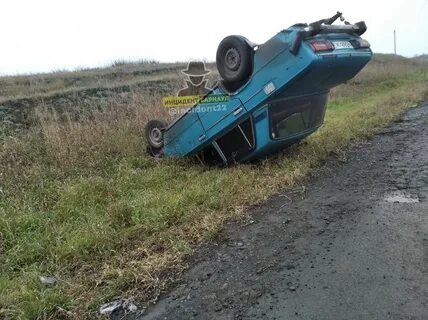 Погода в шелаболихе