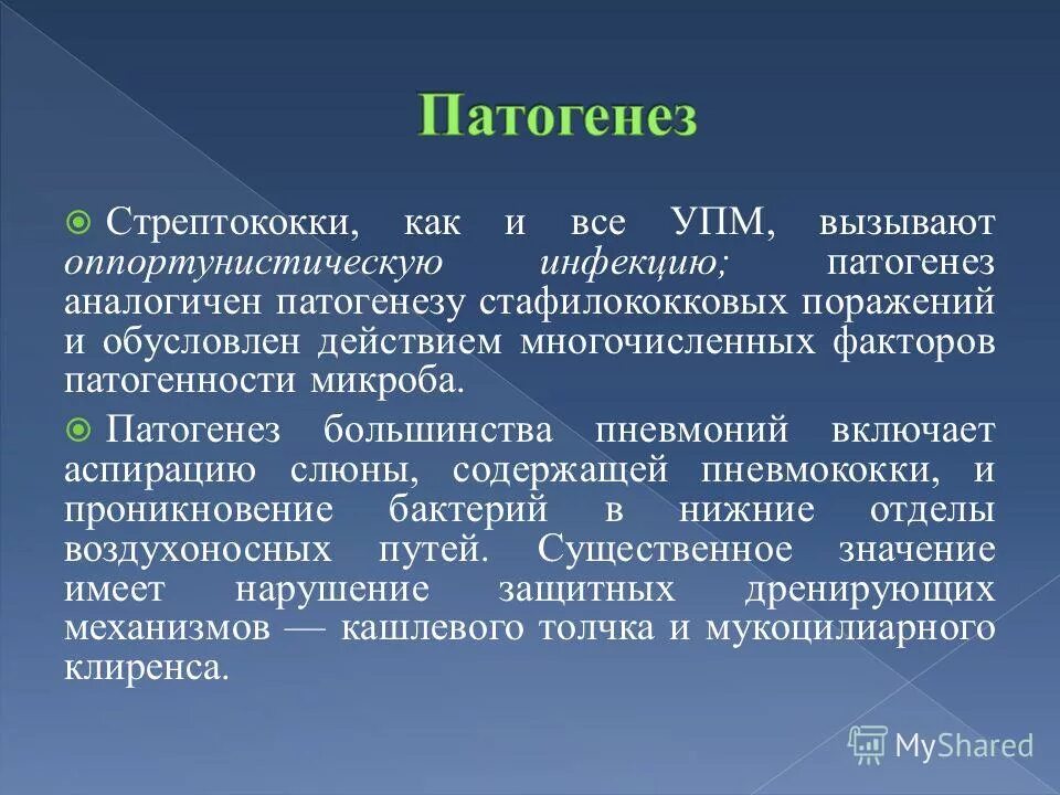 патогенез гломерулонефрита. адгезия это в химии. патогенез стрептококковой инфекции. стрептококки патогенез. стрептококки патогенез.