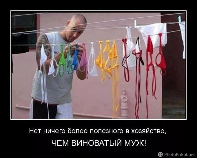 Фразы про бездомных животных. Нет более полезного в хозяйстве чем виноватый муж. Нет ничего полезнее в хозяйстве чем виноватый муж. Нет ничего приятнее. Нет ничего приятнее.