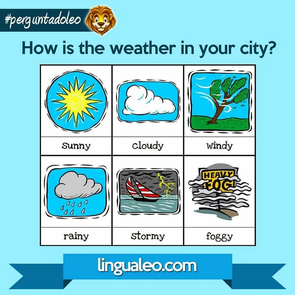 How is the weather in. How is the weather. how&#039;s the weather?. weather. the weather in your city.