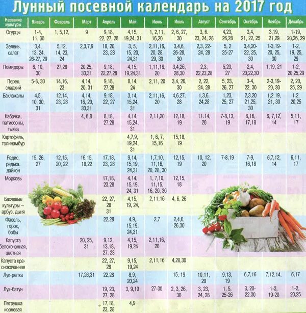 Лунный посевной календарь на 2022 год в самых понятных и удобных цветных таблица