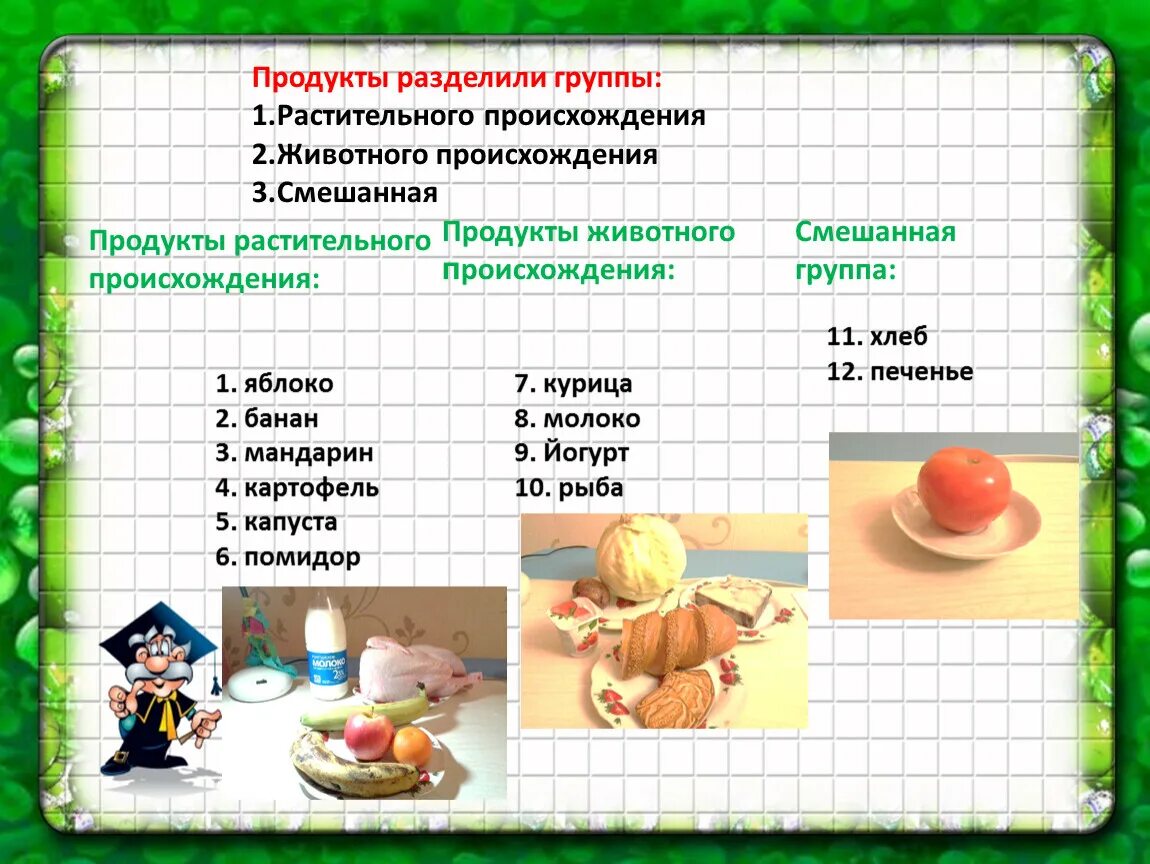 Продукты растительного и животного происхождения. Классификация продуктов животного происхождения. Деление продуктов на группы. Классификация продуктов растительного происхождения. 5 групп питания