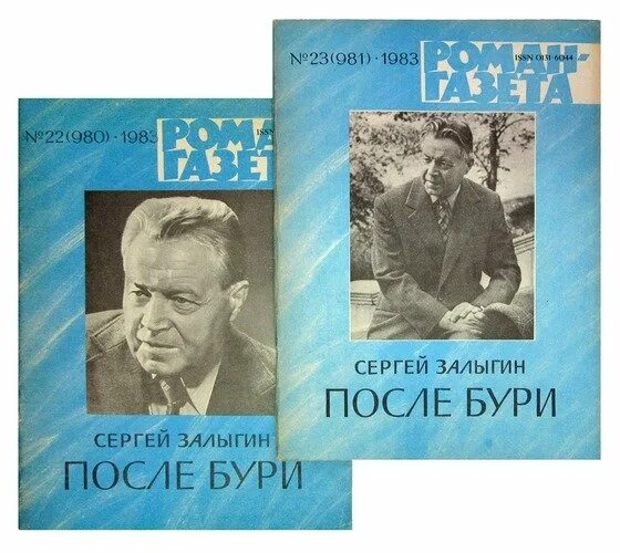 После бури читать. Залыгин писатель произведения. Залыгин с. после бури книга.