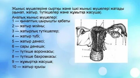 Нудистер үйде онлайн