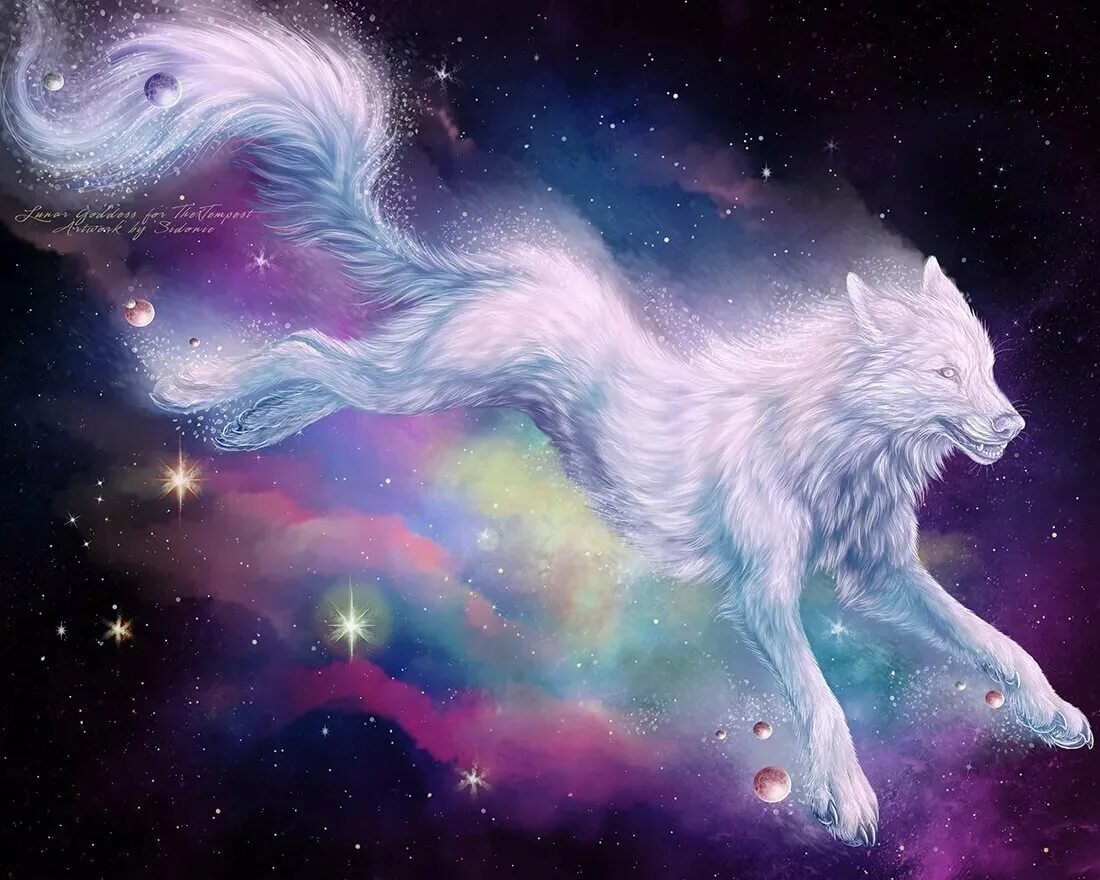 Волк фэнтези. Волшебные волки. Волк космос. Фантастические картинки животных.