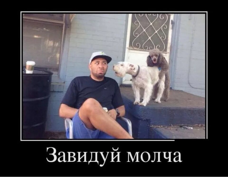 Что завидуешь да