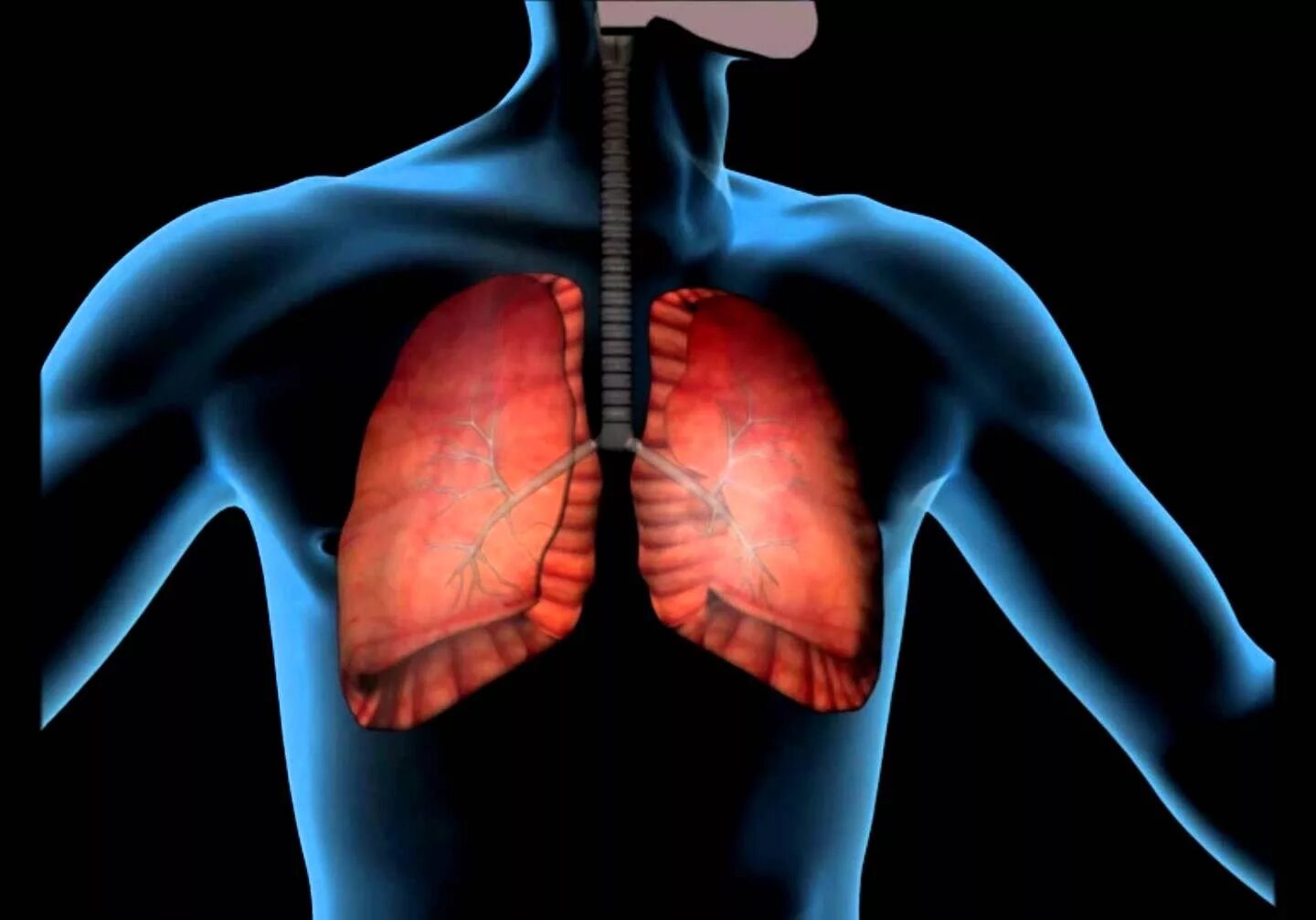 Осложнения заболеваний легких. Плеврит дыхательная недостаточность. Заболевание органов дыхания плевриты.